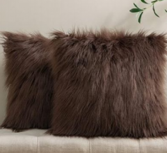 Cushion