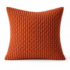 Cushion