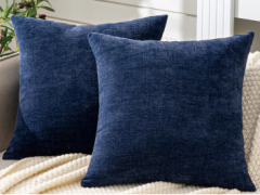 Cushion