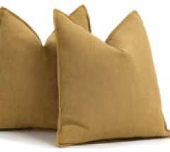 Cushion