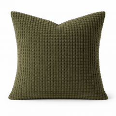 Cushion