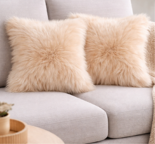 Cushion