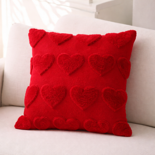 Cushion