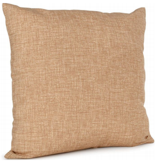 Cushion