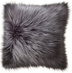 Cushion