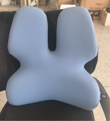 Blue Memory Foam Back Pillow