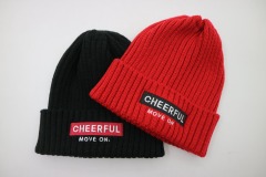 Promotional Custom Ribbed Knitted Embroidered Beanie High Quality Acrylic Hats Unisex for Men and Women | Sewingman