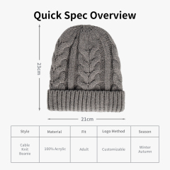 Sculpted Cable Rib Beanie