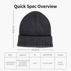 Merino Blend Ribbed Winter Beanie