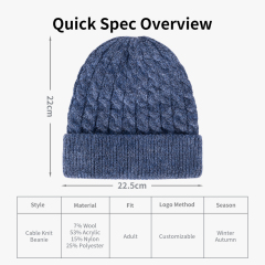 Alpine Cable Knit Beanie