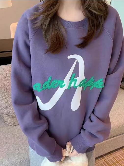 韓版ADER新款內加絨ins字母毛巾繡衛衣韓版圓領百搭寬松休閒秋冬上衣25102503