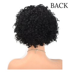 Human Hair Afro Kinky Curly Wigs with Bangs for Black Women Cheao price (JMS 0426)