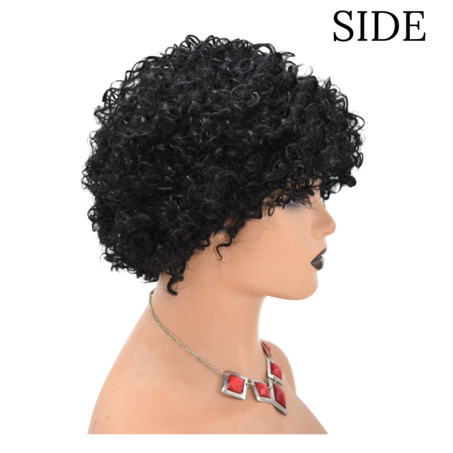 Human Hair Afro Kinky Curly Wigs with Bangs for Black Women Cheao price (JMS 0426)