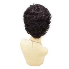 Black Short Wavy Classic Full Wigs Layered for Women Natural Looking Heat Resistant Replacement Wig For Women Breathable and Comfortable. Women's Hair