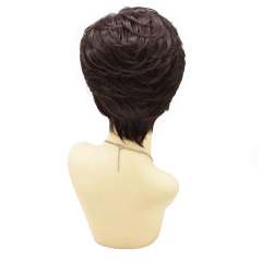 Black Short Classic Full Wigs Layered for Women Natural Looking Heat Resistant Replacement Wig For Women Breathable and Comfortable. Women's Hair