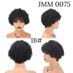Human Hair Afro Wigs with Bangs Kinky Curly Women's Hair Piece  Natural Black Hair Color wigs (JMM 0075)