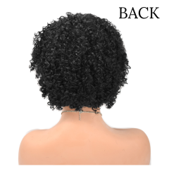Natural Afro Kinky Curly 100% Human Hair Wigs For Women Short Soft Human Hair (JMH 0400)