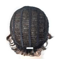 LyricalHair Classic Hair Style Natural synthetic Hair Wigs Synthetic Classic Hair Wig Heat Resistant Fiber Hair for Black Women/White Women