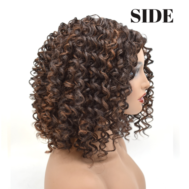 LyricalHair Lace Front Wig Afro-American Curly Hairpiece Top Quality Synthetic Full Cap Hair System Natural Hairline