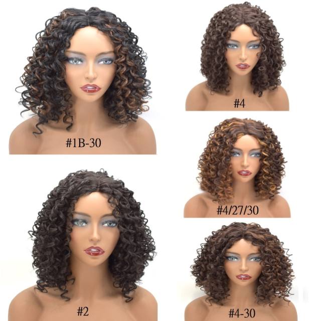 LyricalHair Lace Front Wig Afro-American Curly Hairpiece Top Quality Synthetic Full Cap Hair System Natural Hairline