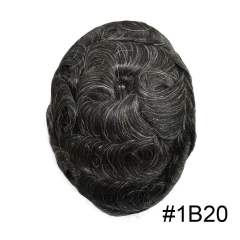 1B20# Natural Black with 20% Grey Hair