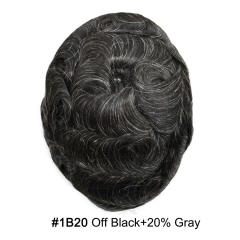 1B20# Off Black with 20%gray hair
