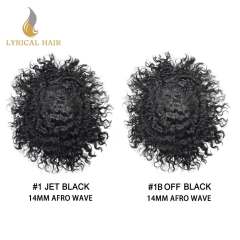 LYRICAL HAIR  Kinky Curly Afro Mens Toupee Hair Unit For Black Mens Curly System 100% Brazilian Human Hair African American Full Skin Wigs For Black Men Weave Hairpiece