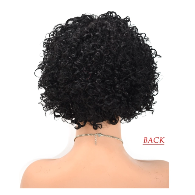 LyricalWigs Human Hair Afro Kinky Curly Full Cap Wig For Black Women Fashionable Off Black 9 Inches Soft Breathable Comfortable Hairpiece