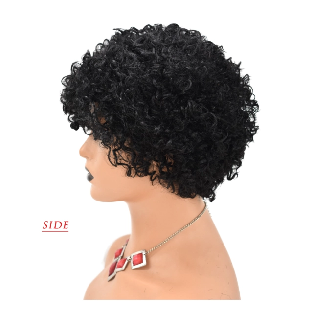 LyricalWigs Human Hair Afro Kinky Curly Full Cap Wig For Black Women Fashionable Off Black 9 Inches Soft Breathable Comfortable Hairpiece