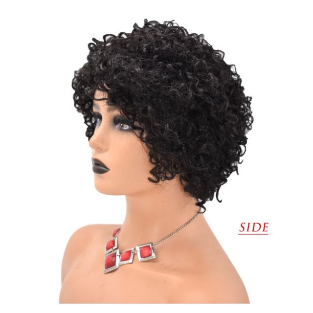 LyricalWigs Afro Kinky Curly Full Cap Wig Human Hair For Black Women Fashionable Off Black 4-8 Inches Soft Breathable Comfortable Hairpiece
