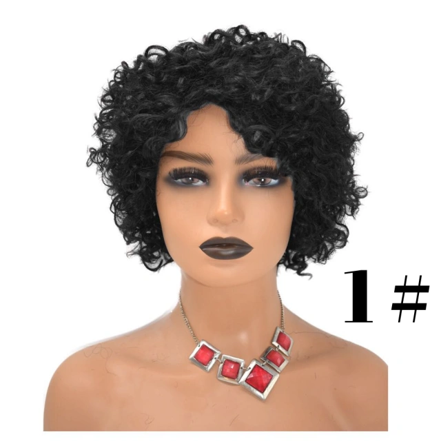 LyricalWigs Afro Kinky Curly Full Cap Wig Human Hair For Black Women Fashionable Off Black 4-8 Inches Soft Breathable Comfortable Hairpiece