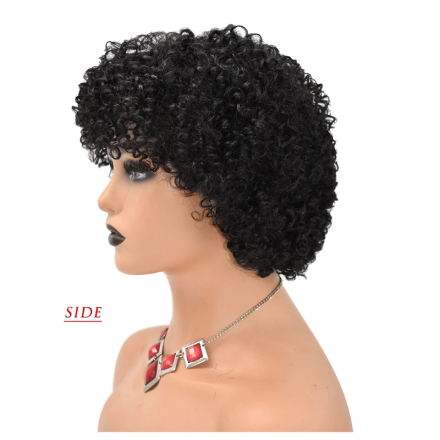 LyricalWigs Afro-American Human Hair Curly Kinky Indian Remy Wigs For Black Women Natural Looking High Quality Afro Short Hair Wig Full Classic Cap Wig