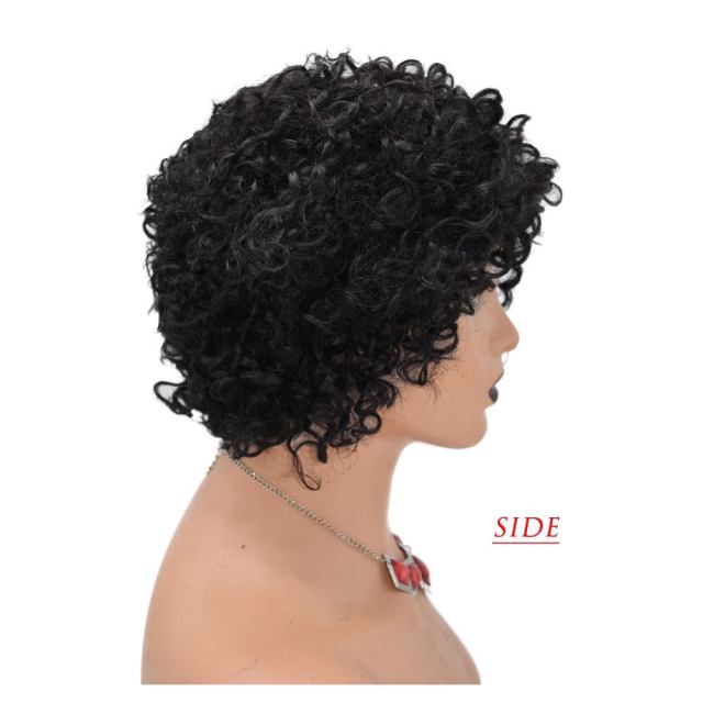 LyricalWigs Afro Kinky Curly Full Cap Wig Human Hair For Black Women Fashionable Off Black 4-8 Inches Soft Breathable Comfortable Hairpiece