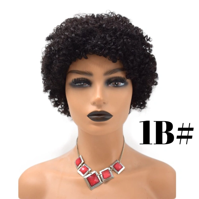 LyricalWigs Afro Kinky Curly Full Cap Wig Human Hair For Black Women Fashionable Off Black 4-8 Inches Soft Breathable Comfortable Hairpiece
