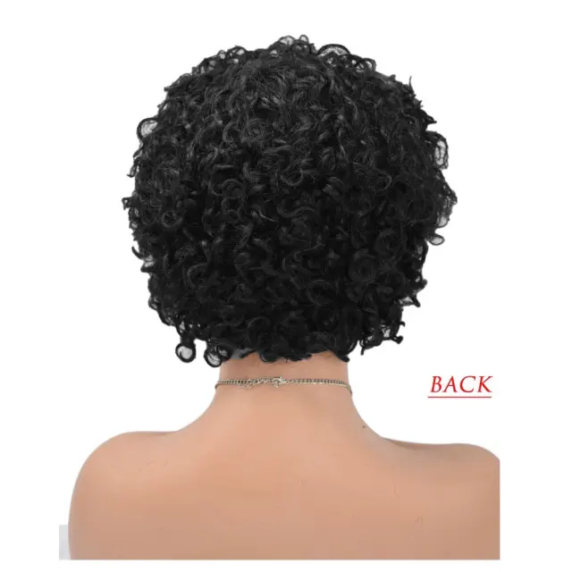 LyricalWigs Afro Kinky Curly Full Cap Wig Human Hair For Black Women Fashionable Off Black 4-8 Inches Soft Breathable Comfortable Hairpiece