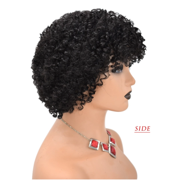 LyricalWigs Afro-American Human Hair Curly Kinky Indian Remy Wigs For Black Women Natural Looking High Quality Afro Short Hair Wig Full Classic Cap Wig