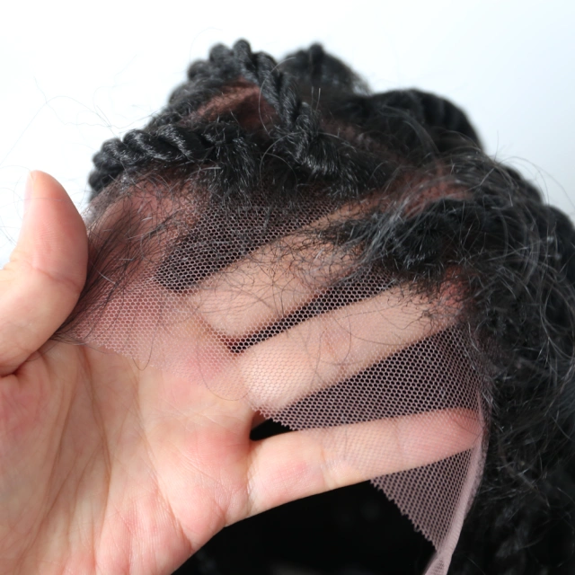 LyricalWigs Long Black Braided Lace Box Braids Wig Synthetic Twist Cornrow With Baby Hair for Women Heat Friendly Braids Comfortable & Breathable Braids