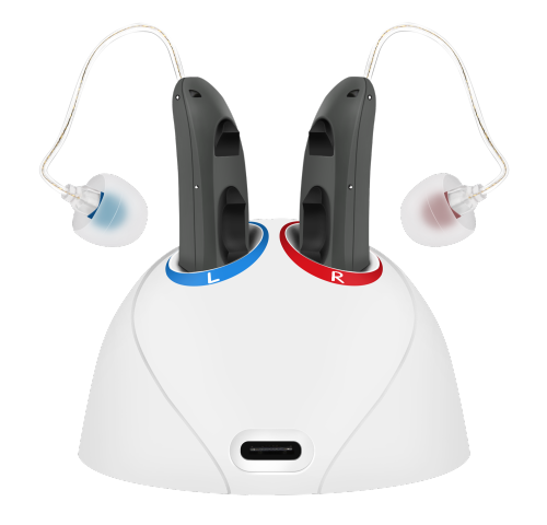 RIC hearing aid-digital and rechargeable hearing aid -Primo R401