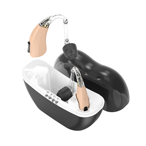 Advanced Bluetooth Rechargeable Hearing Aids with Dual-Microphone Technology, Smart APP Control