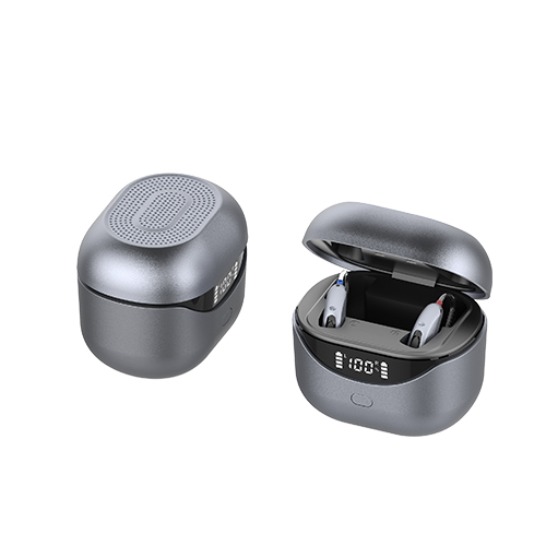 RIC Hearing Aids -Advanced Noise Reduction & Feedback Cancellation