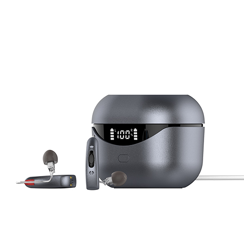 RIC Hearing Aids -Advanced Noise Reduction & Feedback Cancellation