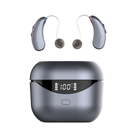 RIC Hearing Aids -Advanced Noise Reduction & Feedback Cancellation