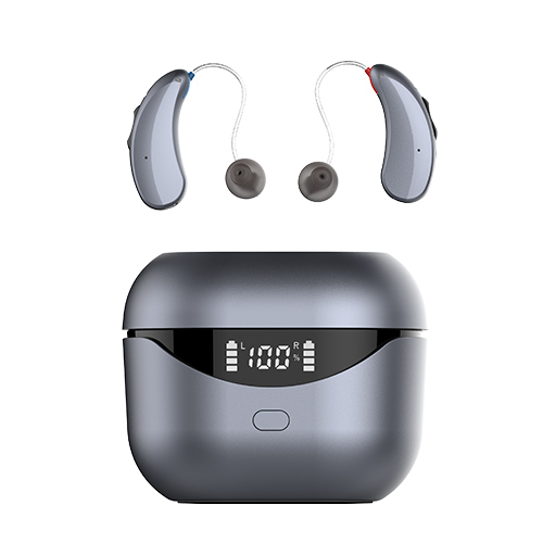 RIC Hearing Aids -Advanced Noise Reduction & Feedback Cancellation