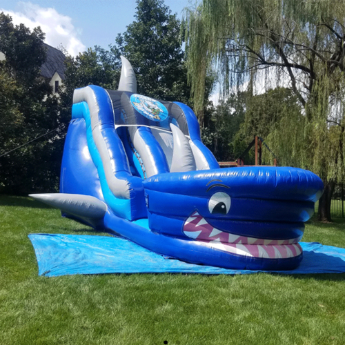 shark pool inflatable