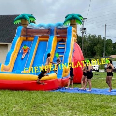 palm tree water slide for sale dual slides commercial inflatable water slides sale