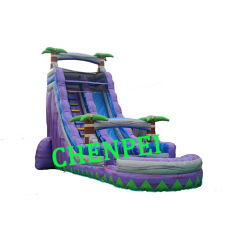 Purple inflatable water slide for sale