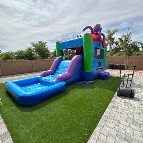 Octpus water jumping castle for sale wet and dry bouncy castle buy
