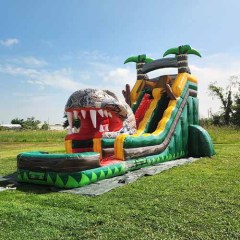 Snake water slide for sale commercial grade water slide