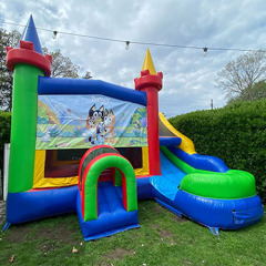 Bluey bouncy castle with slide combo