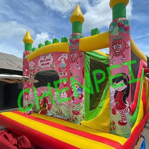 Girls bouncy castle for sale